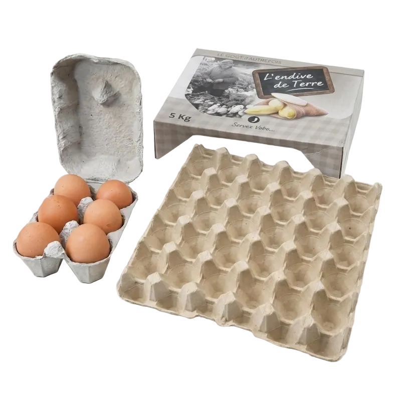 Boîtes à œufs en carton moulé de différentes tailles avec emballage de pommes de terre en arrière-plan