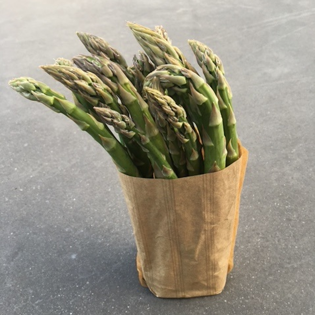 Démonstration de l'utilisation du produit Bande Papier Asperges en 1kg Kraft avec Adhésif sur fond neutre