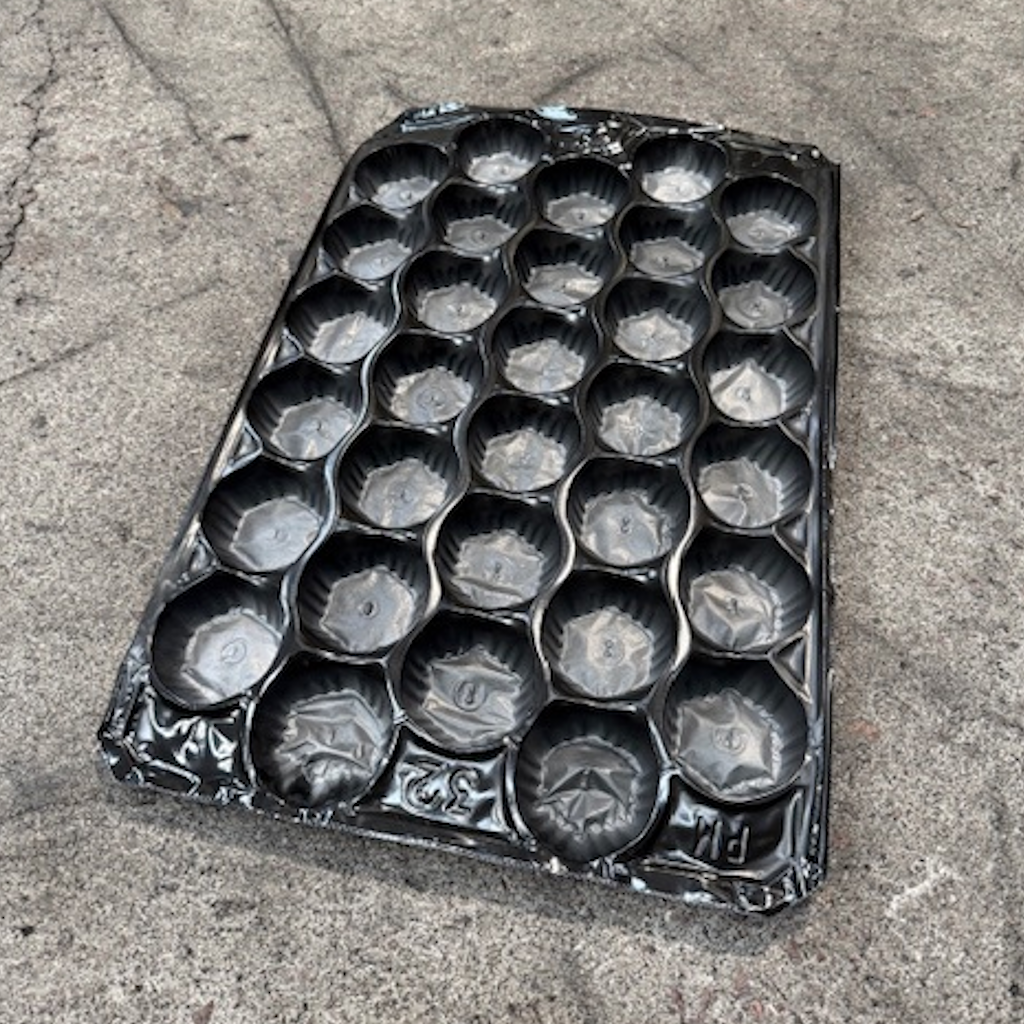 Démonstration de l'utilisation du produit Alvéole Pommes PP Noir 32F - 60x40cm sur fond neutre