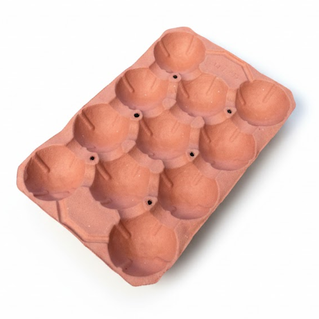 Présentation du produit Alvéole Cellulose Saumon Melon 11Q - 60X40cm sur fond neutre