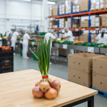 Démonstration de l'utilisation du produit Ruban Adhésif Rouge PVC 19mm x 66m sur fond neutre