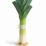 Démonstration de l'utilisation du produit Ruban Papier Blanc - 25mm x 50m sur fond neutre