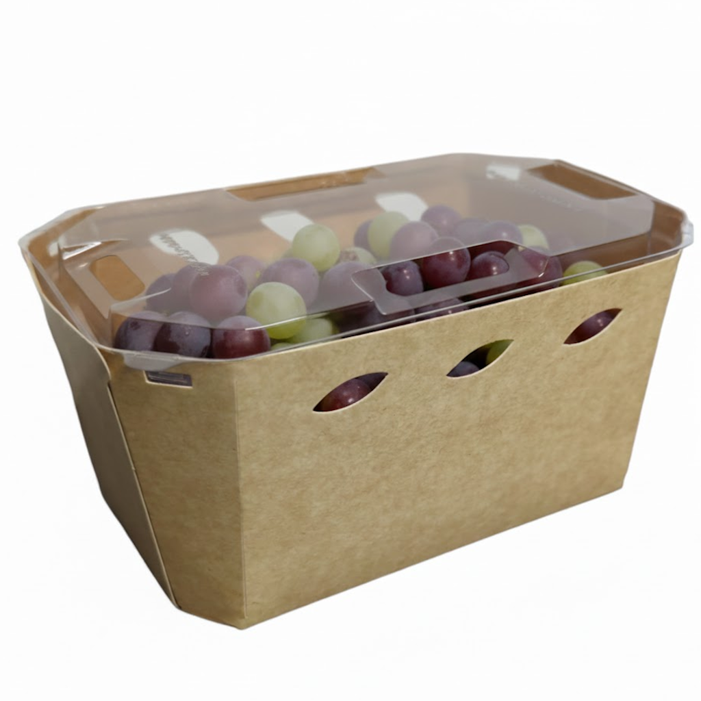 Démonstration de l'utilisation du produit Couvercle pour Barquette Maxipack Cardboard LID dans la vie de tout les jours