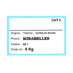 Présentation du colisage reçu pour le produit Etq Adhésive 70x45mm TH° Protégé Adhésif renforcé Neutre Blanche