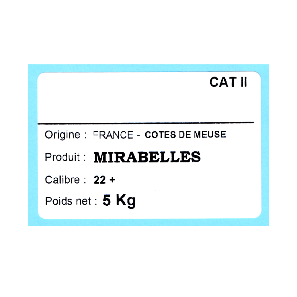 Présentation du colisage reçu pour le produit Etq Adhésive 70x45mm TH° Protégé Adhésif renforcé Neutre Blanche