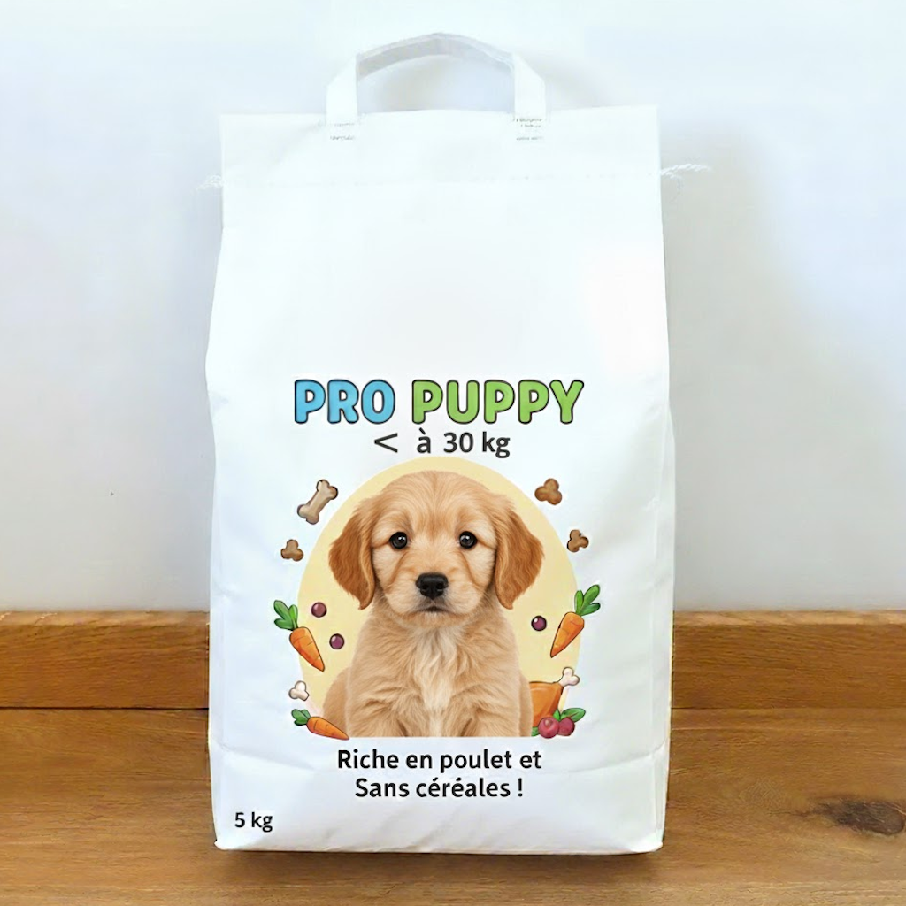 Démonstration de l'utilisation du produit Sac Papier Blanc poignées 5kg Oléophobe (20+11x50cm) sur fond neutre