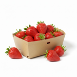 Démonstration de l'utilisation du produit Barquette Carton WK Kraft/Kraft H55 (250g) sur fond neutre