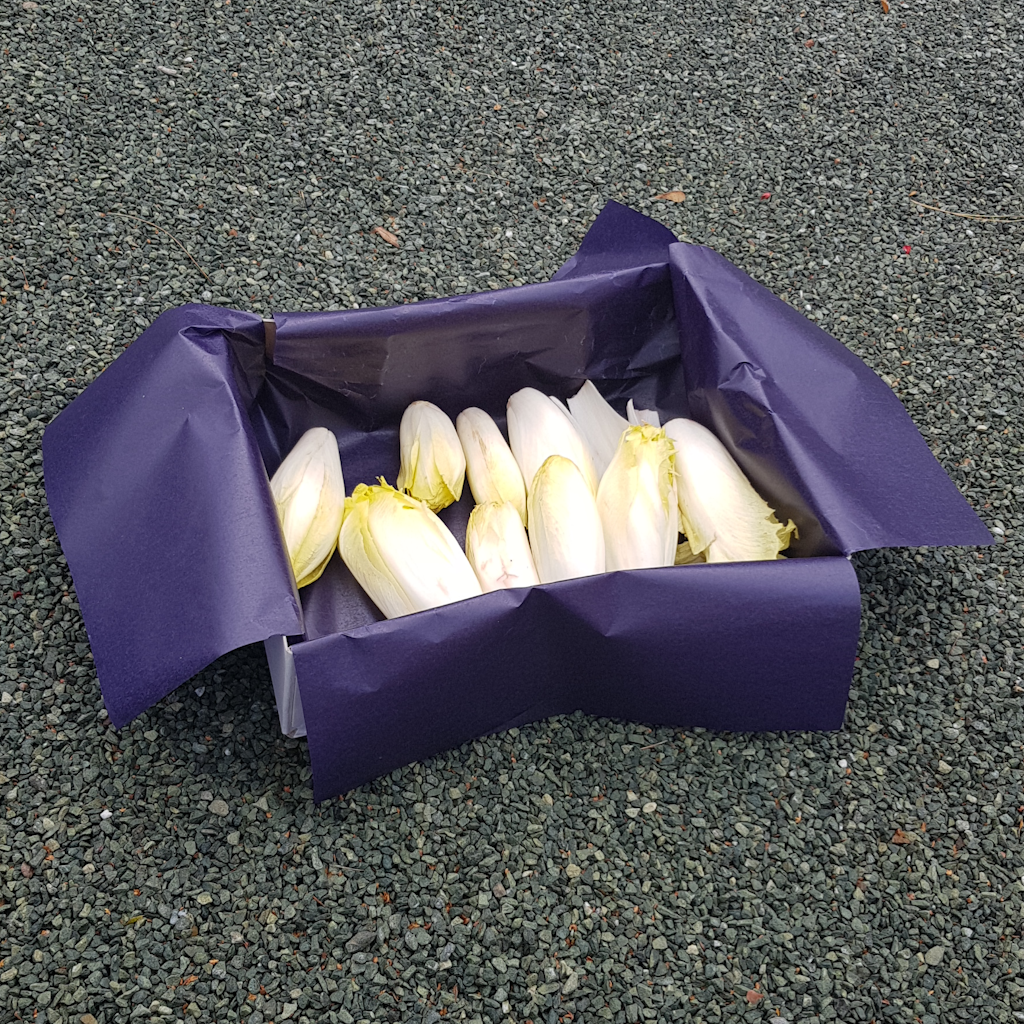 Démonstration de l'utilisation du produit Format en croix paraffiné 800x900 pour 40x30 pour endive