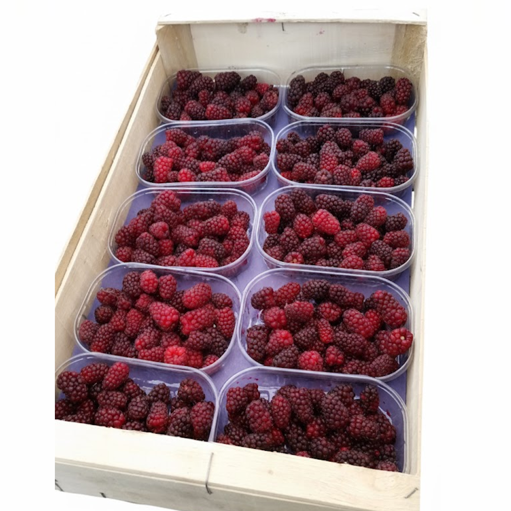 Démonstration de l'utilisation du produit Fond de Caisse Bleu pour Plateau 40x30 dans la vie de tout les jours