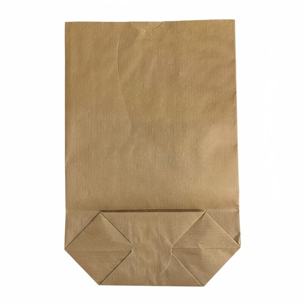 Présentation du produit Sac Ecorné Kraft Brun 2 Feuilles N°12 - 250x385mm sur fond neutre