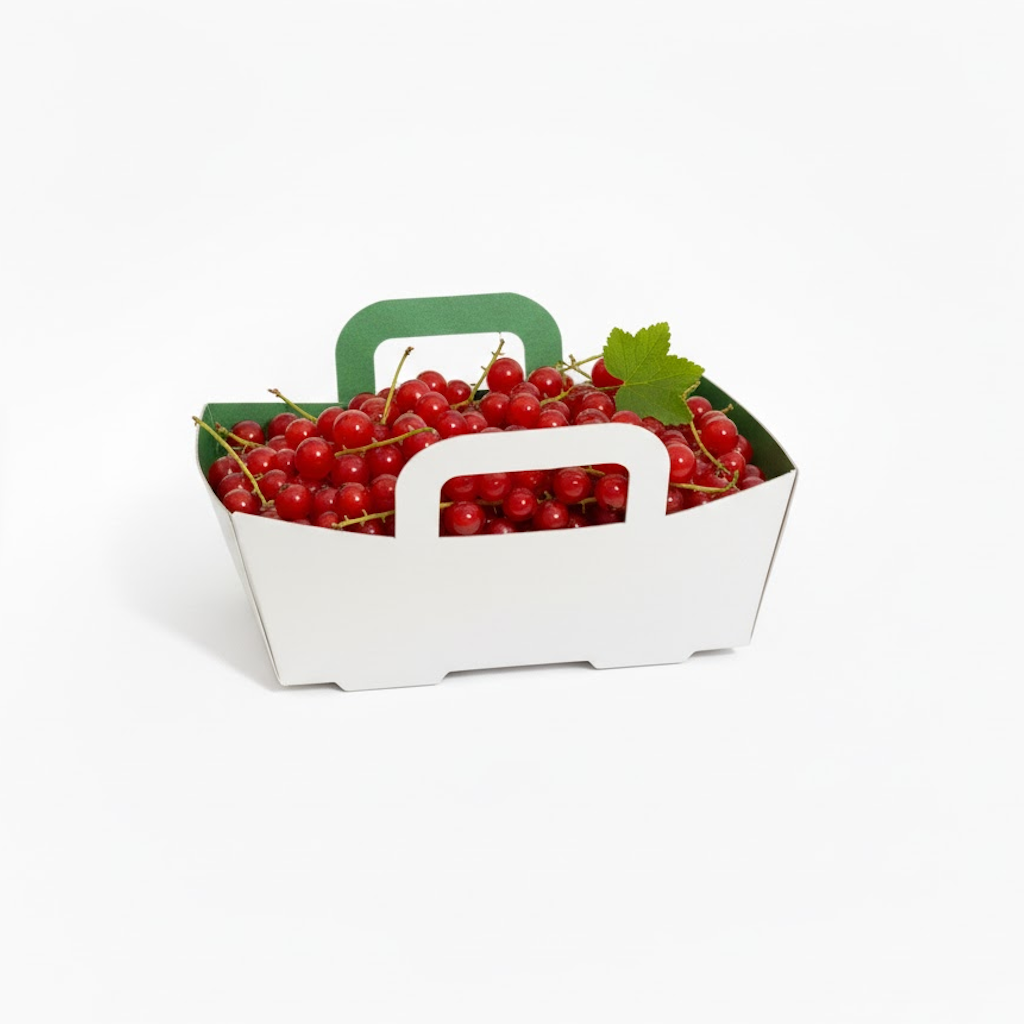 Démonstration de l'utilisation du produit Barquette Carton Vert/Blanc 125g + anses sur fond neutre