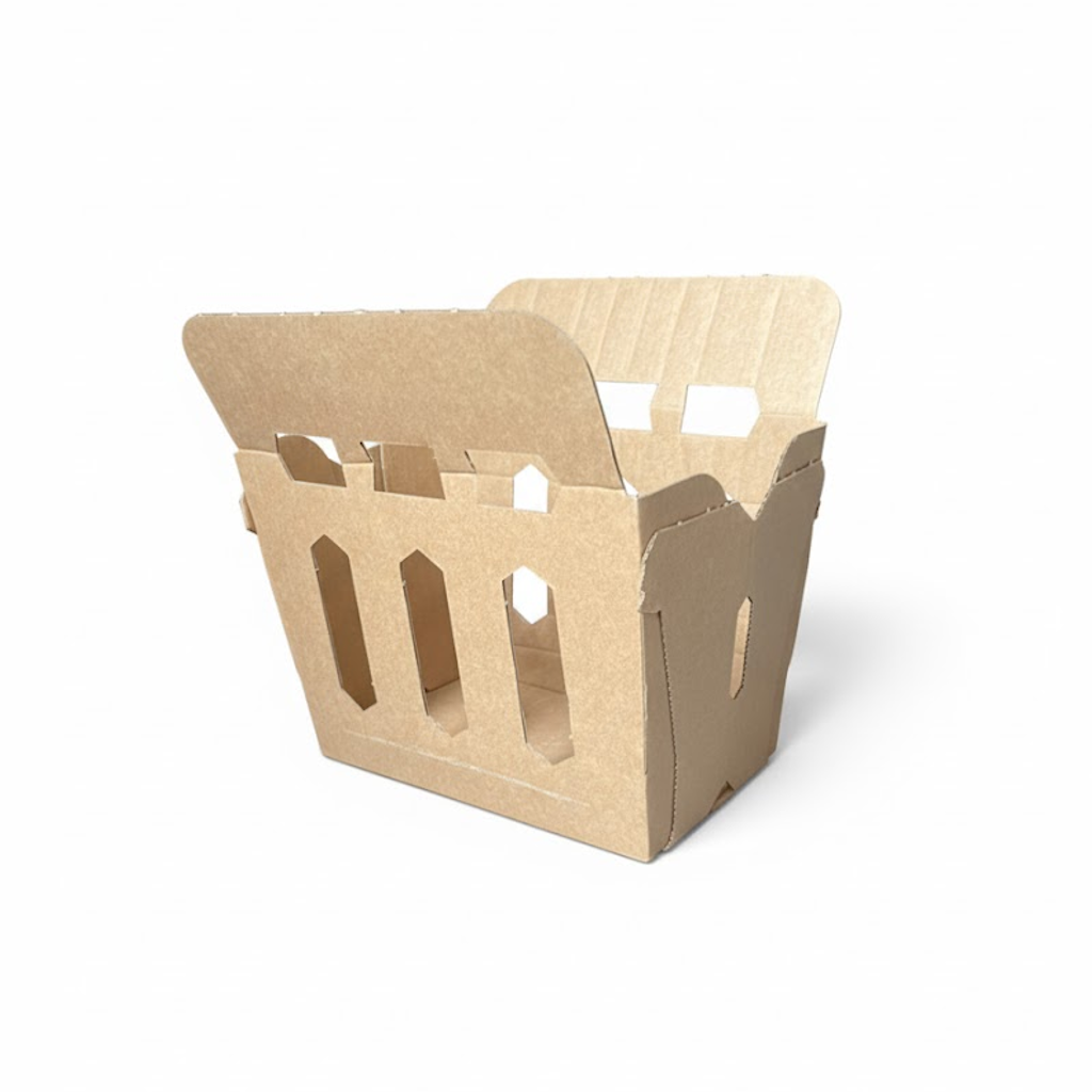 Présentation du produit Barquette Carton Montée 1kg Multifruits à rabats sur fond neutre