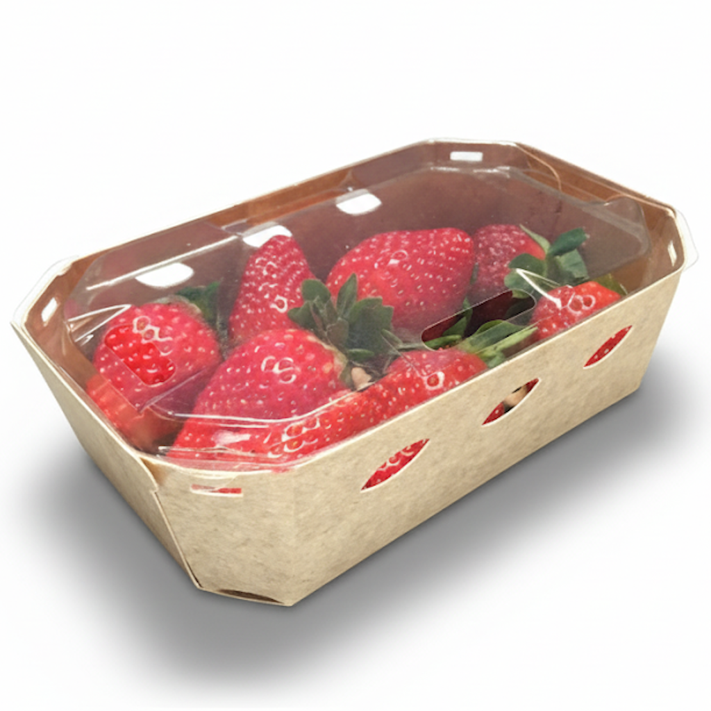 Démonstration de l'utilisation du produit Barquette carton 250g Maxipack Cardboard LID H47 (Vendue sans couvercle) sur fond neutre