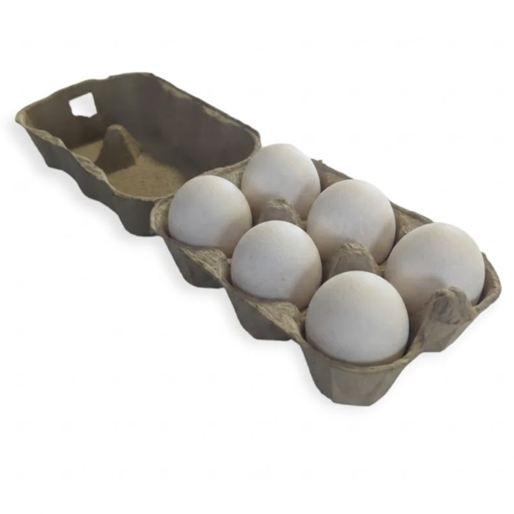 Boîte à œufs en carton moulé contenant 6 œufs blancs, couvercle ouvert
