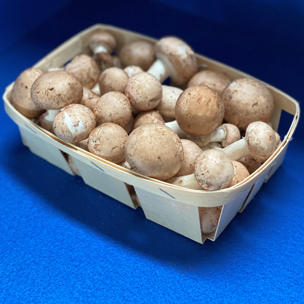 Présentation d'une barquette bois contenant 1 kg de champignon, elle fait 235x160x65mm