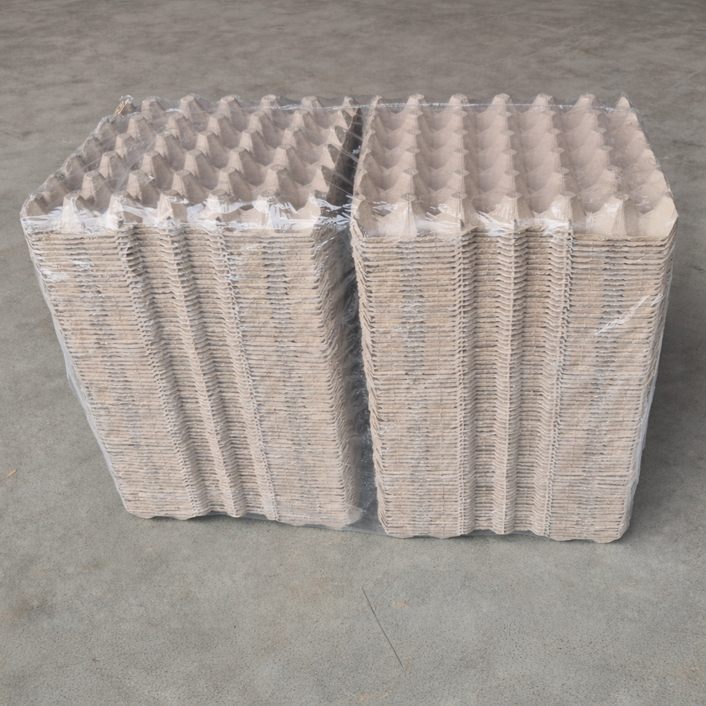 Deux piles de plaques alvéoles en cellulose beige pour 30 œufs, emballées sous film plastique