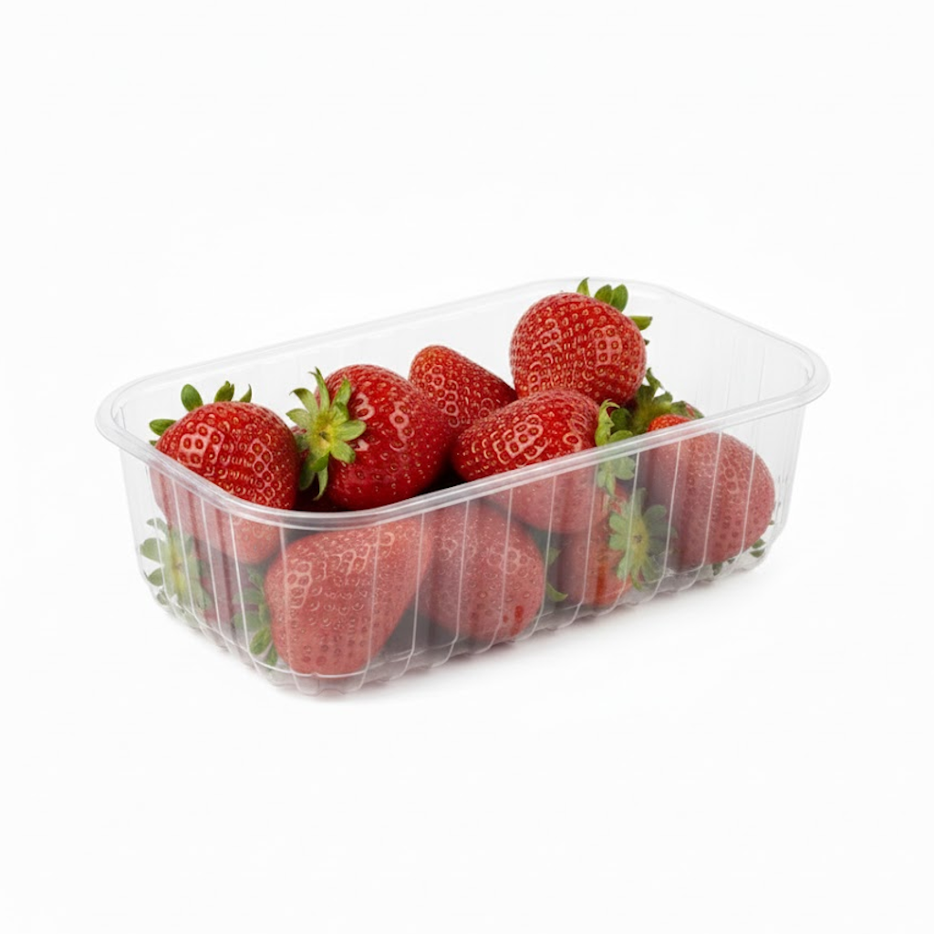 Démonstration de l'utilisation du produit Barquette RPET 250g 145x95xH60mm sur fond neutre