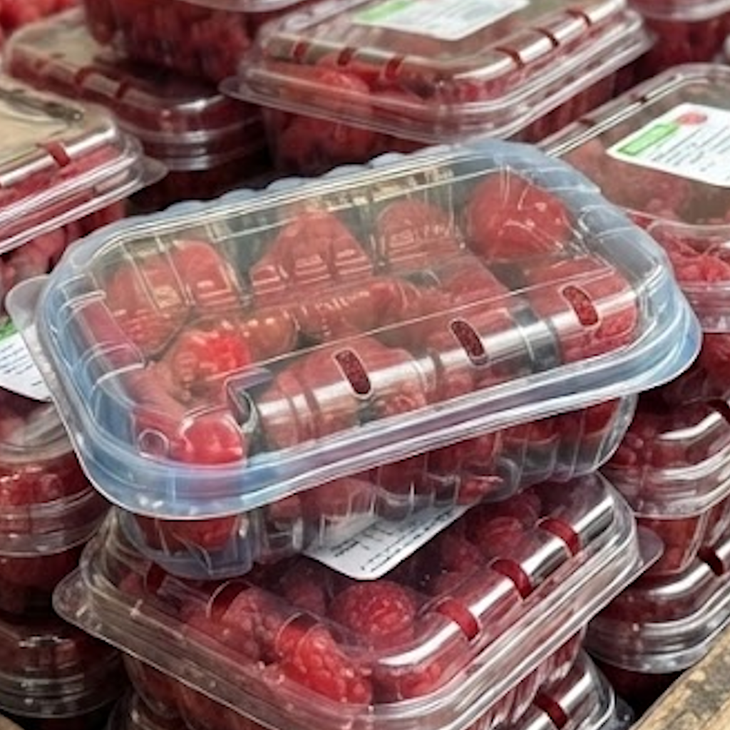 Couvercles plastique transparents empilés sur barquettes de framboises de 125g